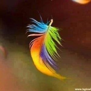 Meet your Posher, Janice